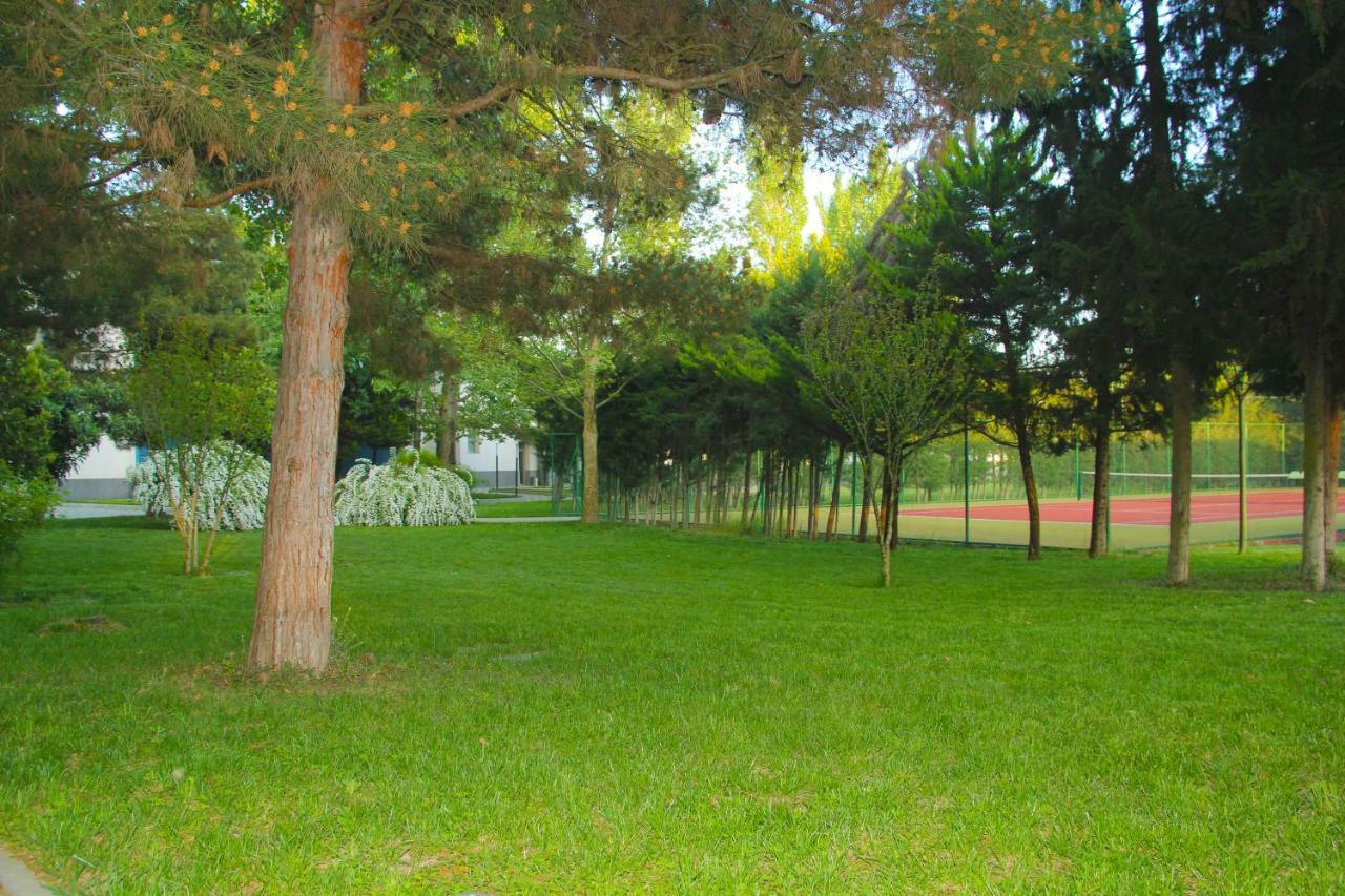 Sheki Olimpiya Hotel & Resort Exterior photo
